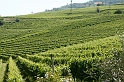 Piemont 2009  040